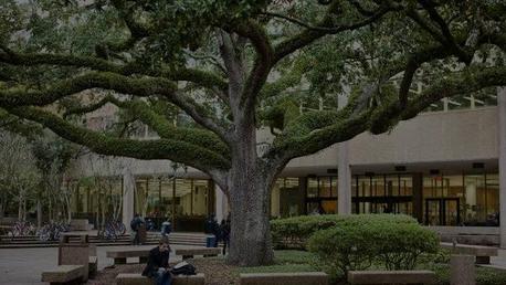 扬斯敦州立大学